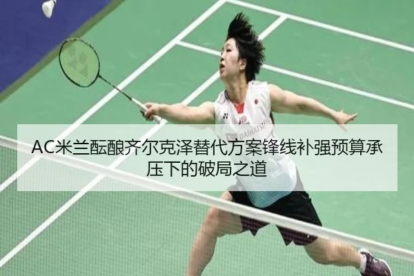 mi-lan-yun-niang-qi-er-ke-ze-ti-dai-fang-an-feng-xian-bu-qiang-yu-suan-cheng-ya-xia-de-po-ju-zhi-dao-2-419.jpg
